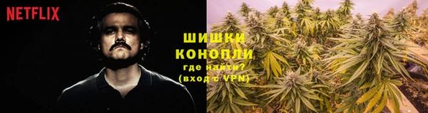 прущие грибы Володарск