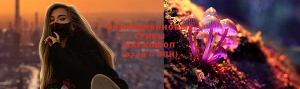 прущие грибы Володарск