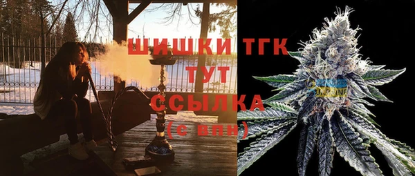 прущие грибы Володарск